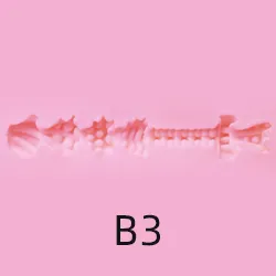 B3